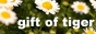 tiger�̂��������